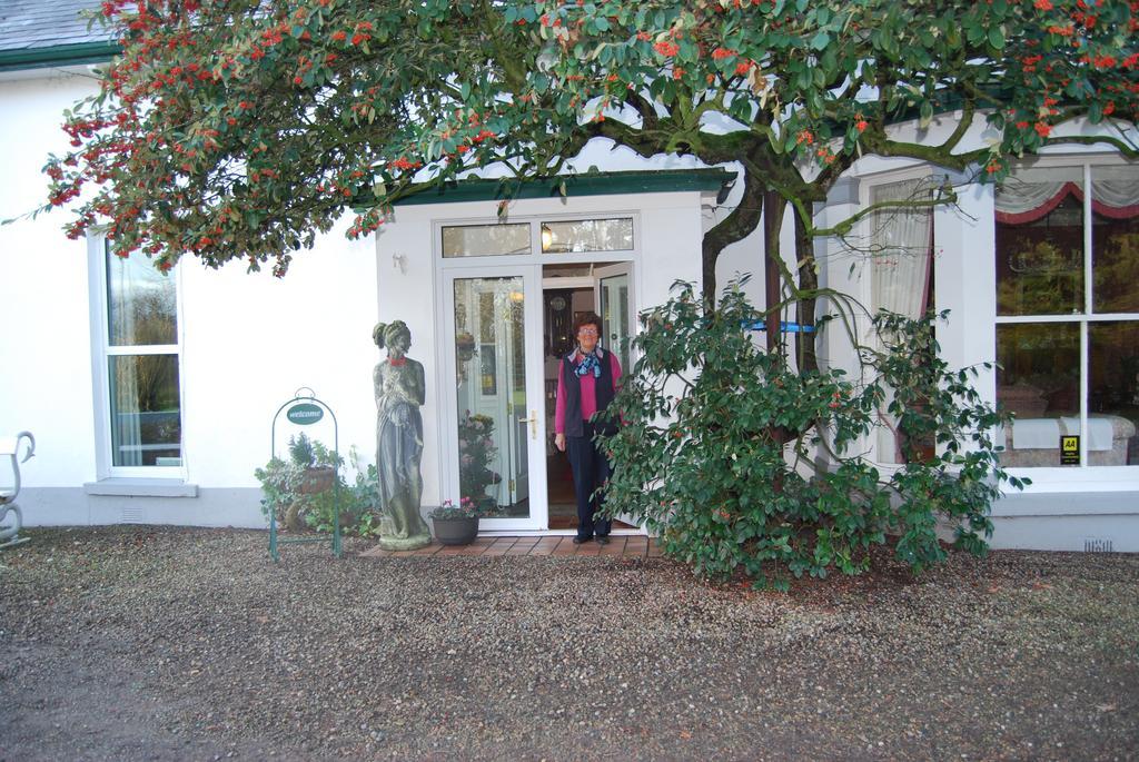 Grange Lodge Country House Dungannon Exteriör bild